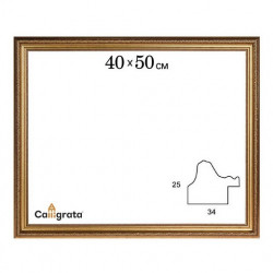 Рама для картин (зеркал) 40 х 50 х 3,3 см, пластиковая, Dorothy, золотая