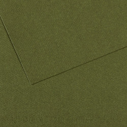 Бумага для пастели Mi-Teintes 160г/м2, 75*110см, №448 Зеленый плющ