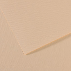 Бумага для пастели Mi-Teintes 160г/м2, 50*65см, №112 Скорлупа