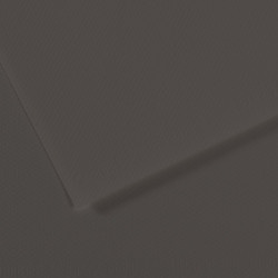 Бумага для пастели Mi-Teintes 160г/м2, 50*65см, №184 Угольный