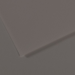 Бумага для пастели Mi-Teintes 160г/м2, 50*65см, №185 Графитовый