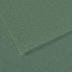 Бумага для пастели Mi-Teintes 160г/м2, 50*65см, №190 Зеленый шалфей