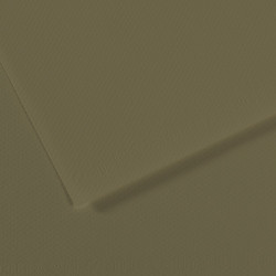 Бумага для пастели Mi-Teintes 160г/м2, 50*65см, №191 Оливковый