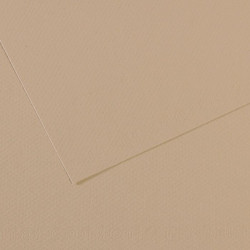 Бумага для пастели Mi-Teintes 160г/м2, 75*110см, №343 Серо-бежевый