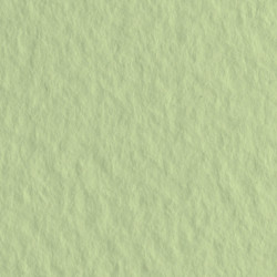 Бумага для пастели Tiziano 160г/м2 А4 № 11 Зеленый светлый (Verduzzo)