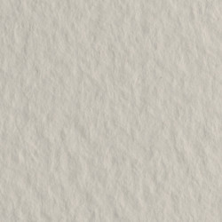 Бумага для пастели Tiziano 160г/м2 А4 № 26 Белый перламутровый (Perla)