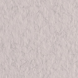 Бумага для пастели Tiziano 160г/м2 А4 № 27 Серый стальной (Lama)