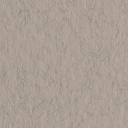 Бумага для пастели Tiziano 160г/м2 А4 № 28 Серый хина (China)