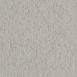 Бумага для пастели Tiziano 160г/м2 А4 № 29 Серый туманный (Nebbia)