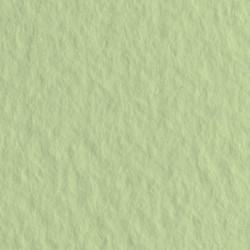 Бумага для пастели Tiziano 160г/м2 70х100 см, № 11 Зеленый светлый (Verduzzo)