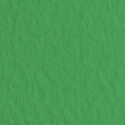 Бумага для пастели Tiziano 160г/м2 70х100 см, № 12 Зеленый луг (Prato)