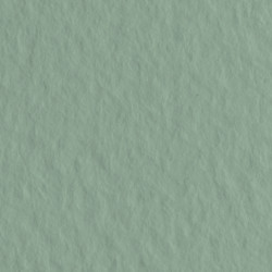 Бумага для пастели Tiziano 160г/м2 70х100 см, № 13 Шалфей (Salvia)