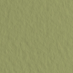 Бумага для пастели Tiziano 160г/м2 70х100 см, № 14 Зеленый мох (Muschio)