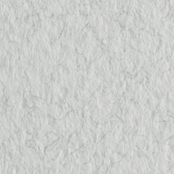 Бумага для пастели Tiziano 160г/м2 70х100 см, № 32 Белый иней (Brina)