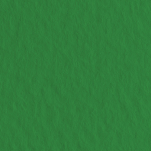 Купить зеленое сукно лист бумаги для пастели Tiziano № 37 160г/м2 70x100 см  в магазине «ВикАрт»