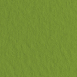 Бумага для пастели Tiziano 160г/м2 70х100 см, № 43 Зеленый фисташковый (Pistacchio)