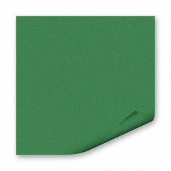 Бумага цветная FOLIA , 130 г/м2, A4,  зеленый мох