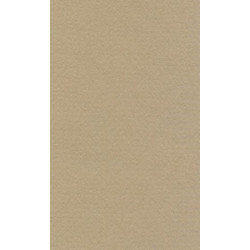 Бумага для пастели, 160 г/м2, 42х29,7 см, бело-серый