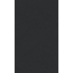 Бумага для пастели, 160 г/м2, 42х29,7 см, черный
