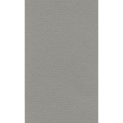 Бумага для пастели, 160 г/м2, 42х29,7 см, холодный серый