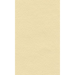 LANA Бумага для пастели «Lana Colours», 160 г/м², 50х65 см, кремовый