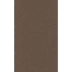 LANA Бумага для пастели «Lana Colours», 160 г/м², 50х65 см, темно-коричневый