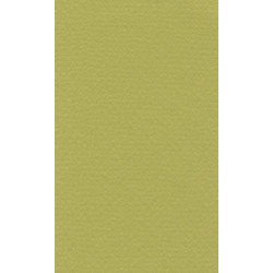 LANA Бумага для пастели «Lana Colours», 160 г/м², 50х65 см, фисташковый