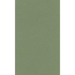 LANA Бумага для пастели «Lana Colours», 160 г/м², 50х65 см, зеленый сок
