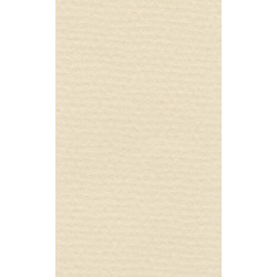 LANA Бумага для пастели «Lana Colours», 160 г/м², 50х65 см, слоновая кость
