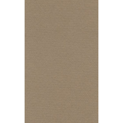 LANA Бумага для пастели «Lana Colours», 160 г/м², 50х65 см, светло-коричневый