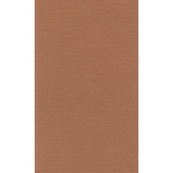 LANA Бумага для пастели «Lana Colours», 160 г/м², 50х65 см, охра