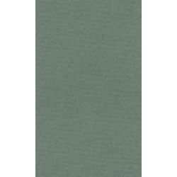LANA Бумага для пастели «Lana Colours», 160 г/м², 50х65 см, полынь
