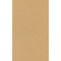 LANA Бумага для пастели «Lana Colours», 160 г/м², 50х65 см, песочный
