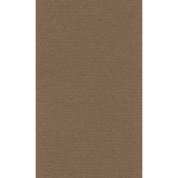 LANA Бумага для пастели «Lana Colours», 160 г/м², 50х65 см, сиенна