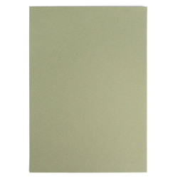 Бумага для пастели Малевичъ GrafArt,  зеленый эвкалипт, 270 г/м, А4
