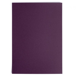 Бумага для пастели Малевичъ GrafArt, фиолетовая, 270 г/м, А4