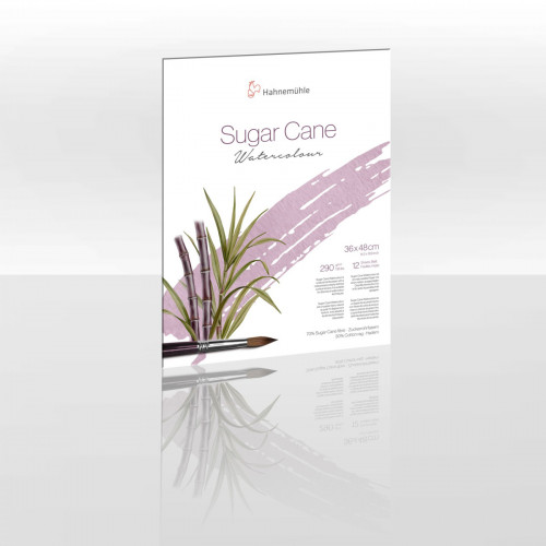Альбом склейка для акварели Hahnemühle SugarCane, 290г, А4, 12 листов, среднее зерно Альбом склейка для акварели Hahnemühle SugarCane, 290г, А4, 12 листов, среднее зерно