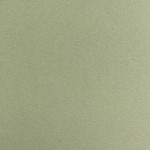 Бумага для пастели Малевичъ GrafArt, 270гр/м2, А3 зеленый эвкалипт Бумага для пастели Малевичъ GrafArt, 270гр/м2, А3 зеленый эвкалипт