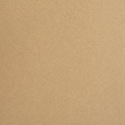 Бумага для пастели Малевичъ GrafArt, 270гр/м2, А2 бежевая