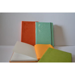 Скетчбук "Дали" 14,7х21 см, книжный переплет, бумага с водяными знаками 120 г/м2 50 л., бумага для записей 20л., цвета ассорти