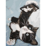 Картина по номерам «Котенок делает селфи», 30x40 см 