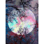 Картина по номерам «Неоновая луна», 30x40 см 