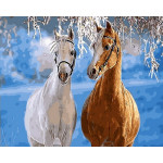 Картина по номерам «Парочка лошадей», 40x50 см 