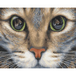 Картина по номерам «Кошачьи глаза», 40*50 см. 